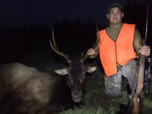 11-9-16-Bernies-Roosevelt-Elk