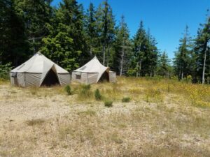 20200718_125138-1024x768