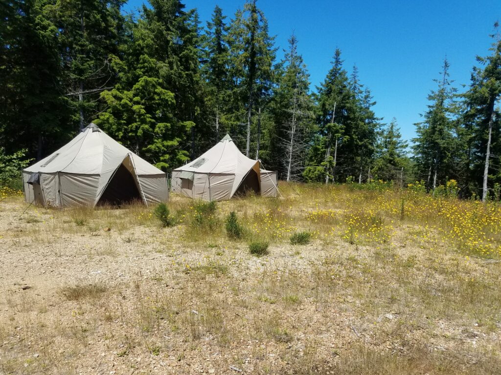 20200718_125138-1024x768