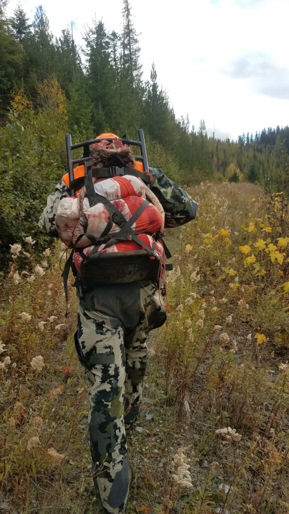 20201012_153938-1024x576