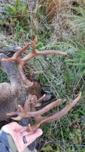 20201030_164840-1024x576