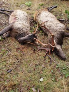 20211107_120720-1024x768