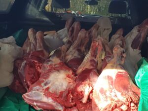 20211108_123826-1024x768