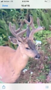 20905-e1608164145763-576x1024