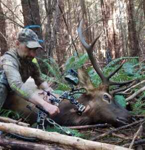 56771-e1578688878974-993x1024