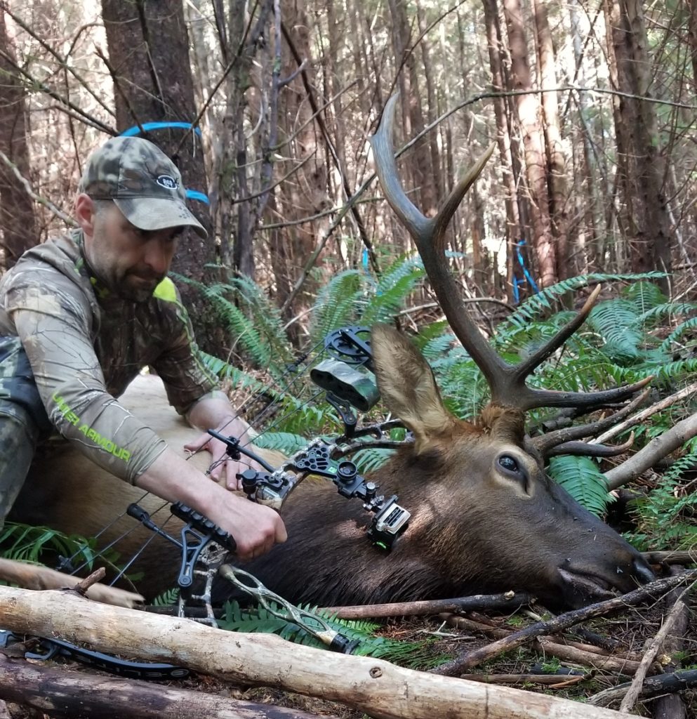 56771-e1578688878974-993x1024